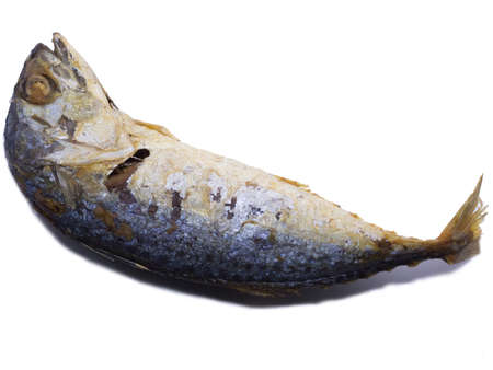 Fried Mackerel isolated on white background