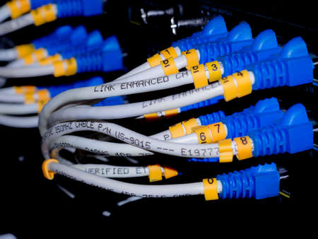 Network switch and UTP ethernet cablesの写真素材