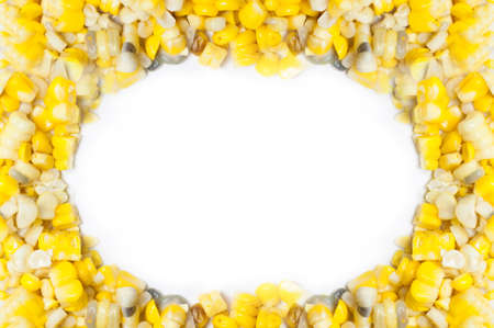 Corn seed frame on white backgroundの写真素材