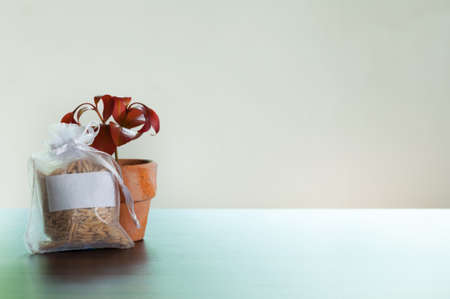Minimal rice bag and tree pot on the table
