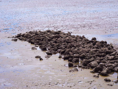 Low tide at sea with blue sky,Rock on low tide