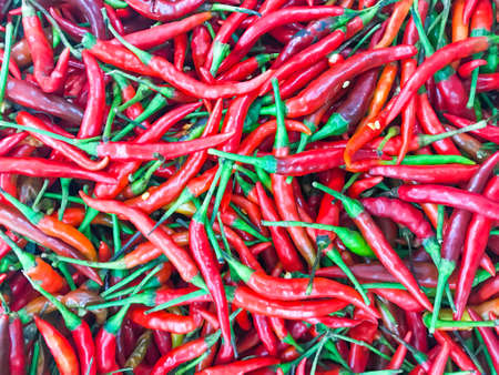 Red Chillies Background,Selective focusの写真素材