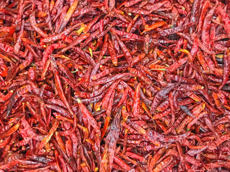 The combined, dried chillies are many red pigments,Dried chilli Backgroundの写真素材