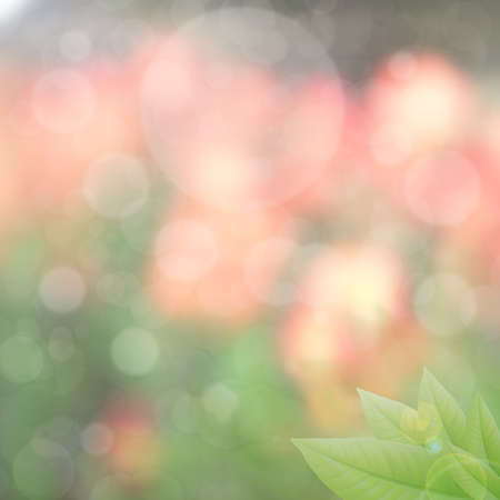 art abstract natural backgrounds with fresh foliage