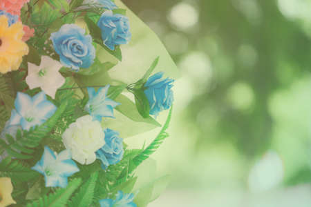 flower pastel tone colorの写真素材