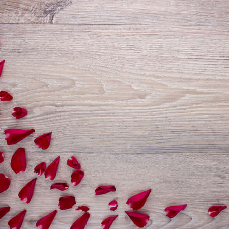 rose petals sprinkle  on the table, View from above with copy space.の写真素材