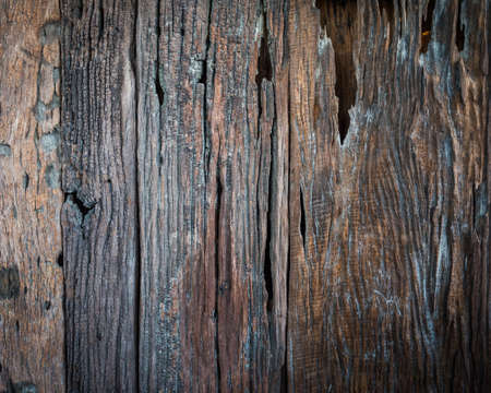 Old wood texture, Texture of bark wood use as natural background, Abstract background.の写真素材