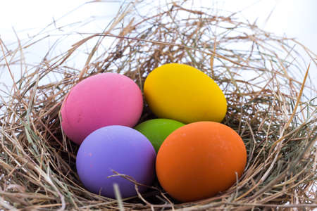 Easter eggs in nest on white background