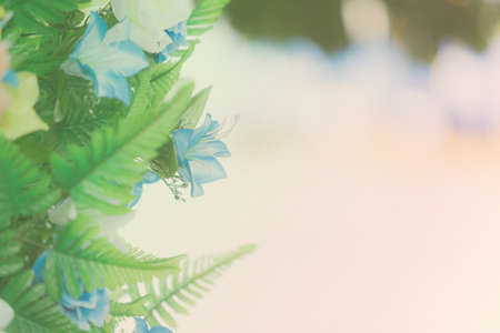 flower pastel tone colorの写真素材