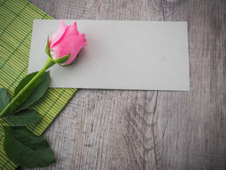 pink rose and empty paperの写真素材