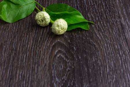 Tropical jasmine flowerの写真素材