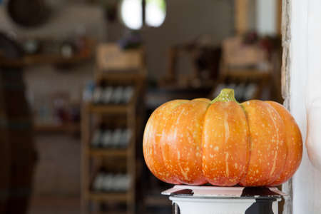 Pumpkin background Wine Bar