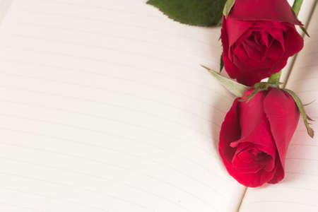 Red rose on notebook backgroundの写真素材