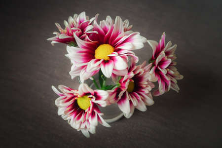 flower in glass on tableの写真素材