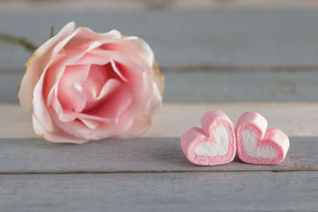 pink flower (valentine concept)の写真素材