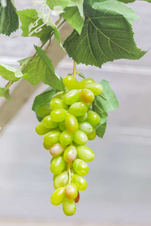 fake grapesの写真素材