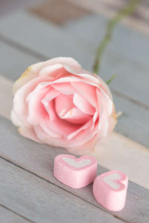 pink flower (valentine concept)