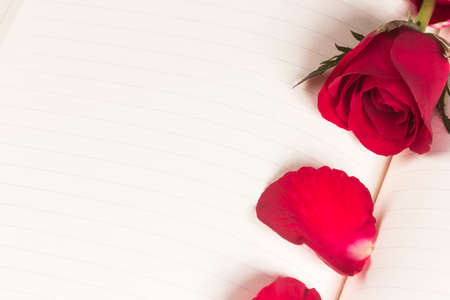 Red rose on notebook backgroundの写真素材