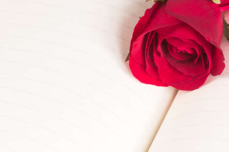 Red rose on notebook backgroundの写真素材