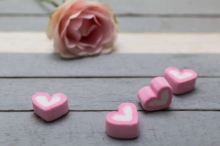 pink flower (valentine concept)の写真素材