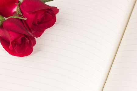 Red rose on notebook backgroundの写真素材