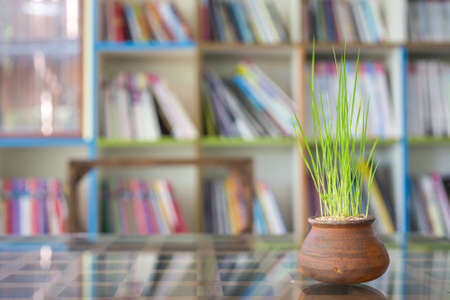 Decorations on reading deskの写真素材