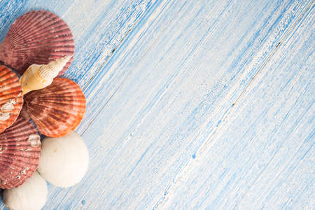 shell on wood texture background, colorful backgroundの写真素材