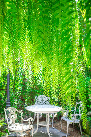 green bokeh background with vintage tableの写真素材