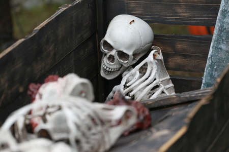 Front side view of human skull zombie man. Horror, Halloween concept.の写真素材