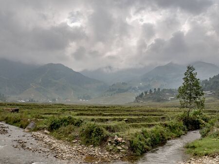 Beautiful rice terraces of Sapa, Vietnam.の写真素材