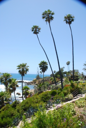 Laguna Beach landscape, California, USAのeditorial素材