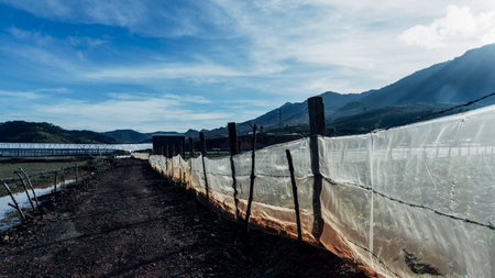 Greenhouse in the countryside of Thailand, Panoramic view.の写真素材