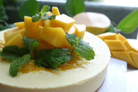 Mango cheesecake with fresh mango and mint leaves on top.の写真素材