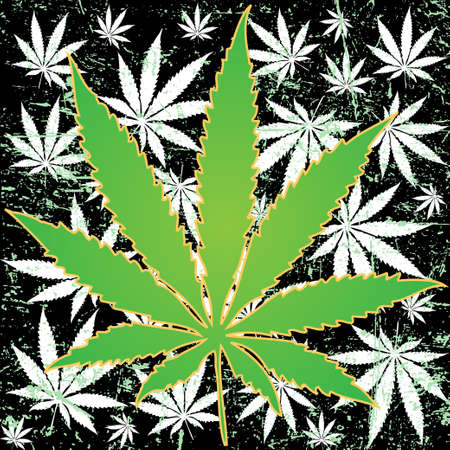 Marijuana backgroundのイラスト素材