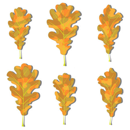 Leavesのイラスト素材