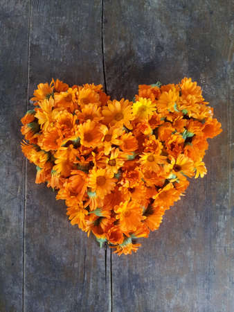 Floral heartの写真素材