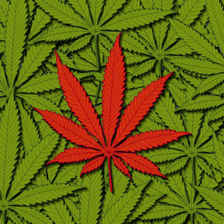 Cannabis as a backgroundの写真素材