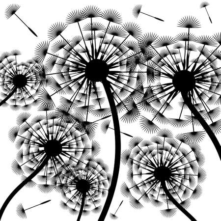 Dandelion silhouette-backgroundのイラスト素材