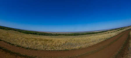 Boundless steppes with the horizon in the distance, somewhere you can see the planted forest.の写真素材