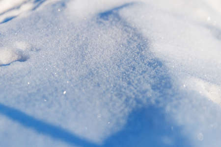 drifts of white snow and footprints of animals and humans