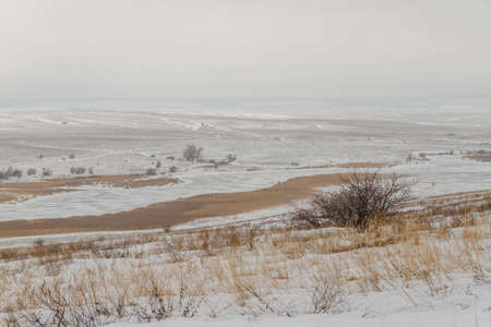 dry plants in the snow on a hill roadの写真素材