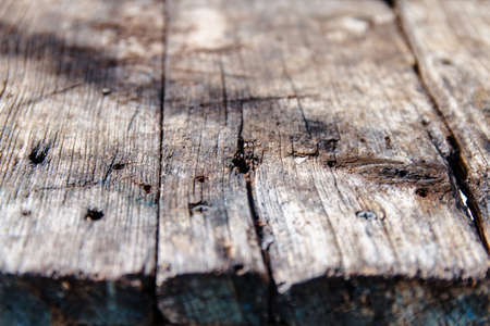Dark wood texture. Abstract tree background with structureの写真素材