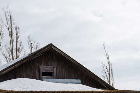 Wooden plank attic of village cottage roof among tree branches under the snow.の写真素材