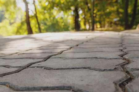 Old concrete path between the trees in the parkの写真素材