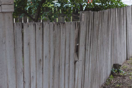 old wooden lining boards wall