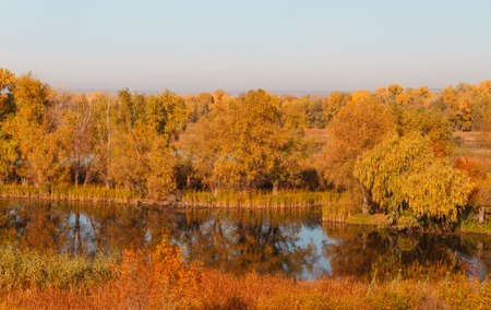 Autumn forest trees are reflected in the river. River in autumn forest.の写真素材