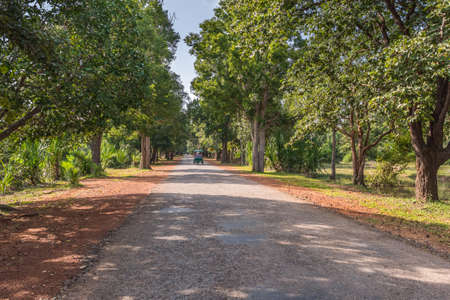 Road through the jungle, Cambodiaの写真素材