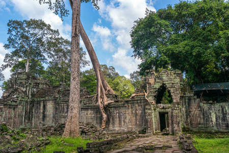 Preh Khan temple with silk cotton tree roots in Siem Reap, Cambodiaの写真素材