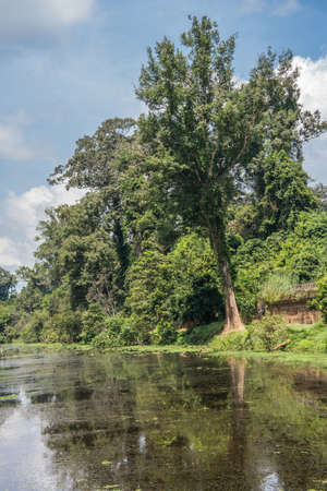 Moat near Preah Khan temple, Angkor, Cambodiaの写真素材