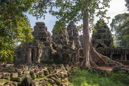 Banteay Kdei temple with silk cotton tree roots in Angkor, Siem Reap, Cambodia.の写真素材